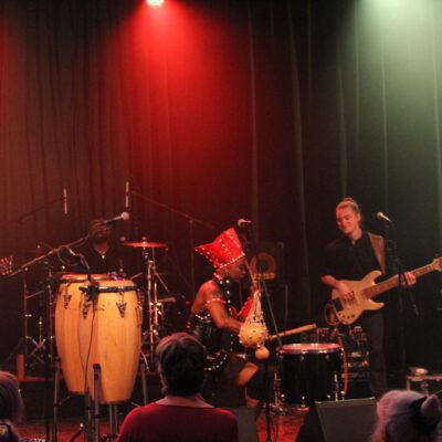 Impressionen vom 25. Afrika Festival Münster 2025